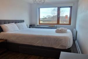 Cool n Comfy 2BD in Irishtown D4 Beside Aviva Apartments, Dublin