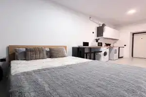 RentHouse Nano-Apart-Hotel Room #8, Chisinau