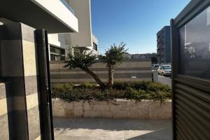 Green House, Monopoli
