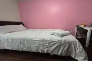 Cozy Room 4mins from-Gatineau Airport, Ottawa