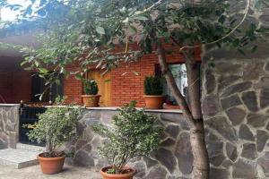 Guest House TOMASI, Borjomi