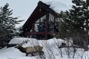 Moose Meadows Lodge - Huge Views, Great Room, Game Room, Theater, Steamboat Springs