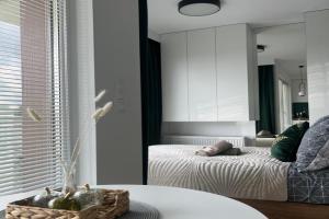Apartament Zielona Klonowa, Kielce