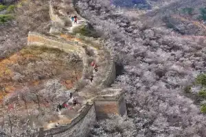 Beijing Wuji Inn - The Great Wall of China Huanghuacheng, Beijing
