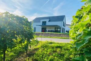 Haus im Weinberg Guest house, Ellenz-Poltersdorf