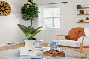 Heights Records - a trendy 2BD Guest house, Peoria