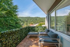 Black Forest Apartment, Bad Wildbad