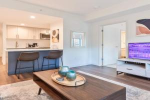 Luxury Apt Near Kendall Square Apartments, Boston