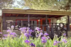 Carter`s Charm Cabin Guest house, Ruidoso