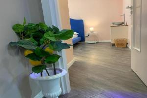Dream Catcher Apartments, Sorrento