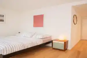 Top floor studio with terrace and freeCard, Basel