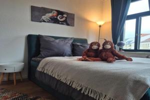 Monkey Magic Mansion 2 BR, next to tram and lake Apartments, Leipzig