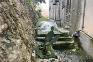 Pietre di Mare Apartments, Castro