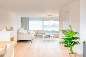 Lively Coastal Haven 3BD Retreat Apartments, Blankenberge