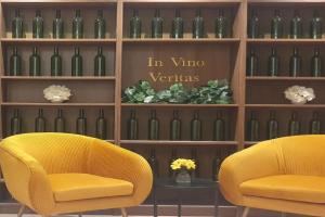 Suite Vinicole Hypercentre, Bastille & Gare 9 min à pied Apartments, Grenoble