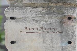 Bacca Bianca-Trulli Antì Charme & Relax Guest house, Alberobello