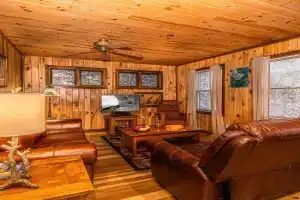 Dragonfly Cabin Guest house, Bryson City