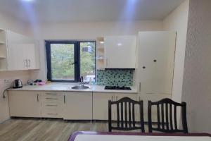 Zura's Apartment, Borjomi