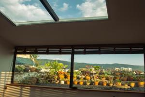 Kunming Yi mo hostel-Free pickup from and to Western Hill Park Subway st, Kunming
