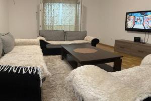 Viktor Apartman, Podgorica