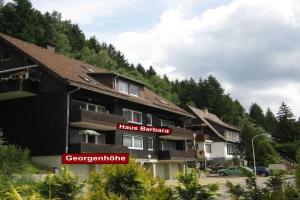 Haus Barbara - Ferienwohnung Georgenhöhe Apartments, Wildemann