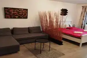 Vincellér Apartman, Villany