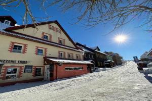 Penzion Erika Guest house, Bozi Dar