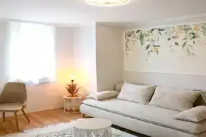 Mi Casa Plantas, Mosonmagyarovar