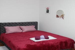 Zara Lux A Apartments, Kraguyevats