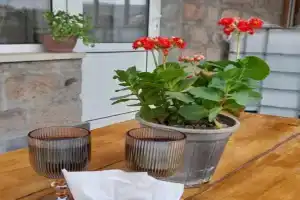 Farmer's House B&B, Areni