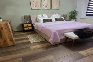 Cozy Pet-Friendly Apartment, Meissen