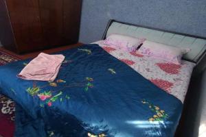 Yunusabad 19 kvartl Cottage, Tashkent