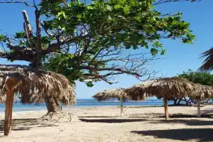 Costambar Beachside Apartment with Pool, Puerto Plata