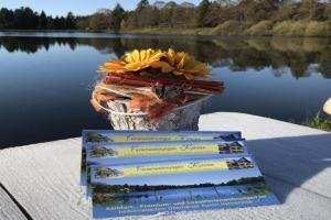 Köhnke 6 Comfortable holiday residence Guest house, Hahnenklee-Bockswiese