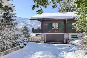 Holiday Home Chalet Tannengüetli by Interhome, Grindelwald