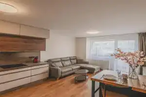 Luxusní Apartmán U Petrofa s vlastním parkovacím místem, Hradec Kralove