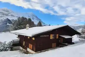 ABO - Boutique Apartment - Chaletgletscher, Grindelwald