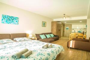 Bakuriani Plaza A208 Apartments, Bakuriani