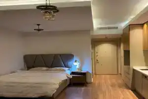 Low Price Luxury Apartment Perfect for An Amazing stay In, Istanbul