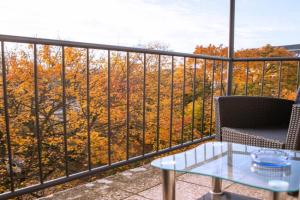 Siegener Balkon-Refugium Guest house, Plauen