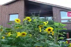 Steffi Guest house, Hannover