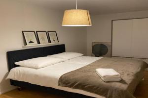 3 BR Duplex in Wiedikon Apartments, Zurich