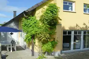 Haus Baabinchen - mit Kamin und Terrasse Apartments, Ostseebad Baabe