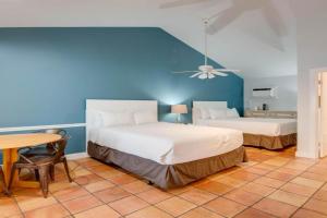 Egret Suite - Southernmost Sanctuary Guest house, Key West
