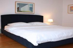 1BR apartment close to Opera - SF7, Zurich
