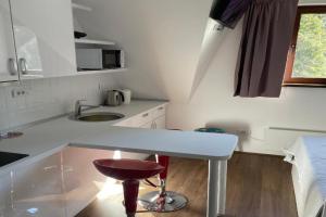Apartments Sia-M3, Kopaonik