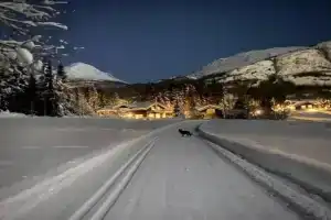 Hemsedal Mountain Retreat Guest house, Hemsedal