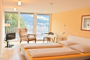 Apartment Sasano Mountain View, Schladming