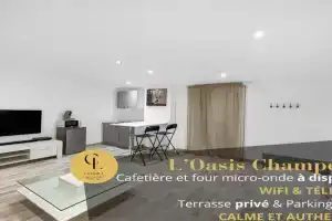 L'Oasis Champenois - Terrace, Garden, Wifi Apartments, Chalons-en-Champagne