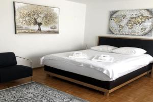 Bright and quiet studio in the city center - Sky1, Zurich